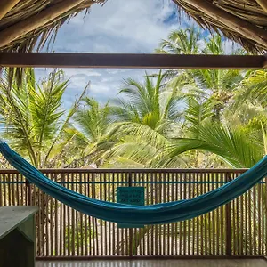 Costeno , Santa Marta (Magdalena) Colombia