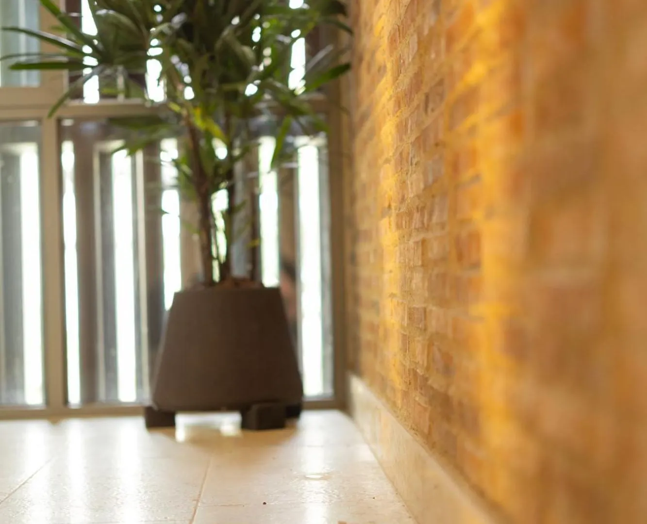 Moabi Hotel ميديلين